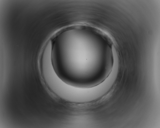X0000089731054200707121446