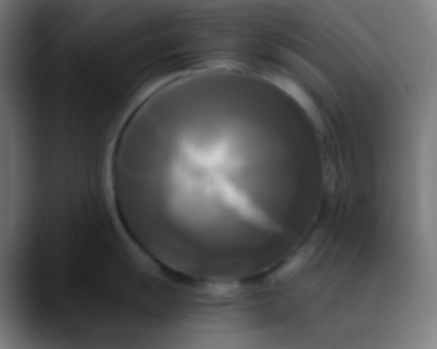 X0000089731055200707121446