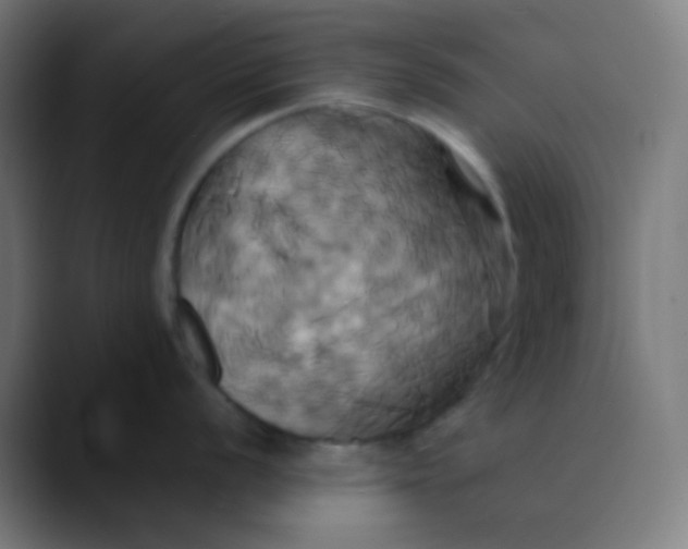 X0000089731056200707121446