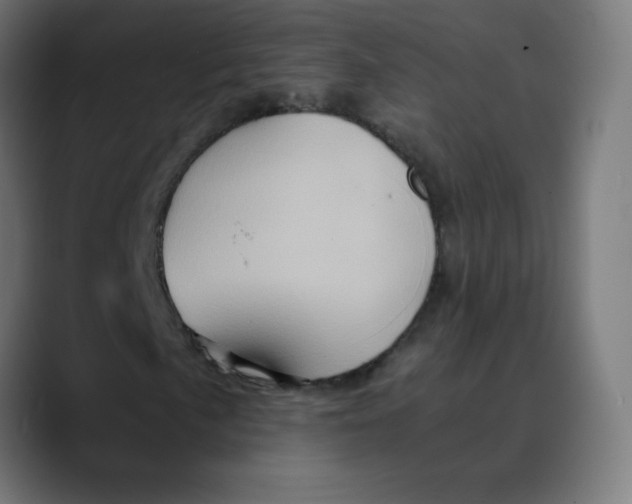 X0000089731057200707121445