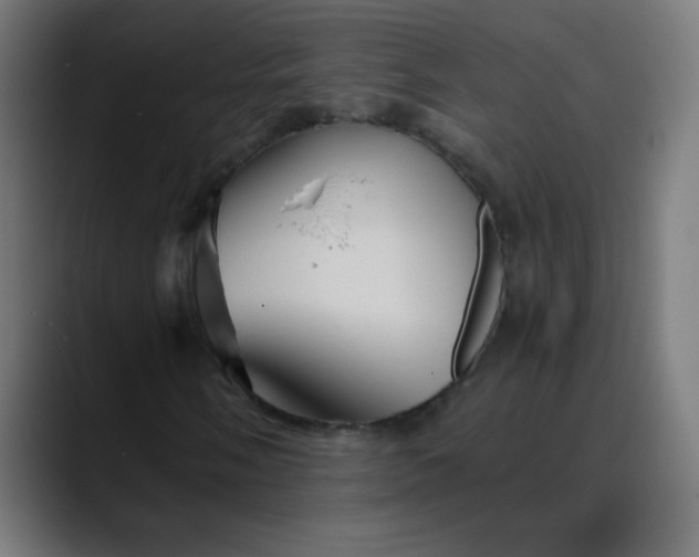 X0000089731058200707121445