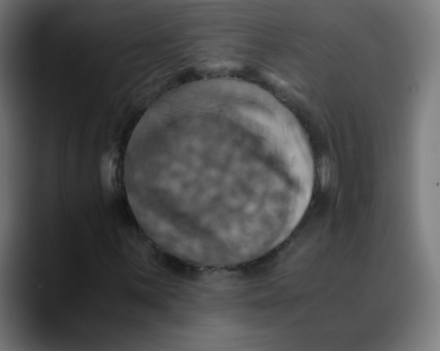 X0000089731059200707121445
