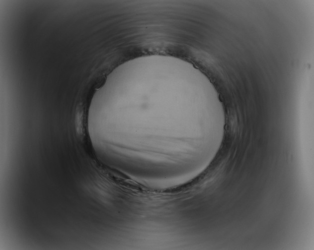X0000089731060200707121445