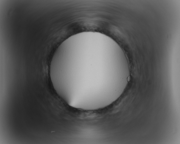 X0000089731061200707121445