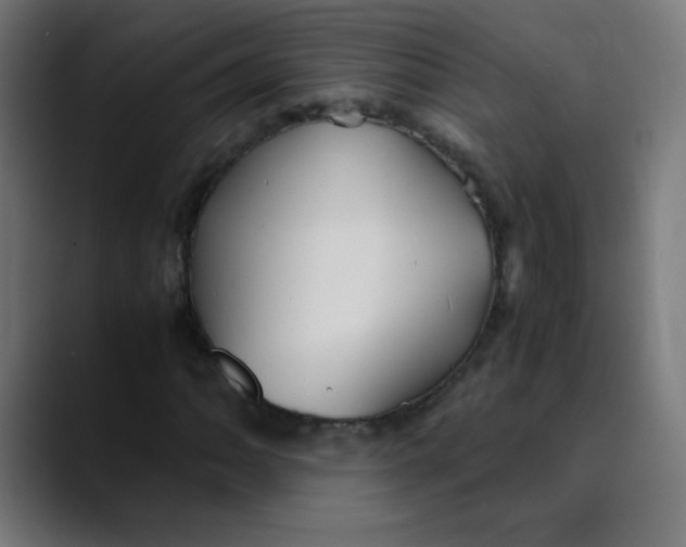 X0000089731062200707121445