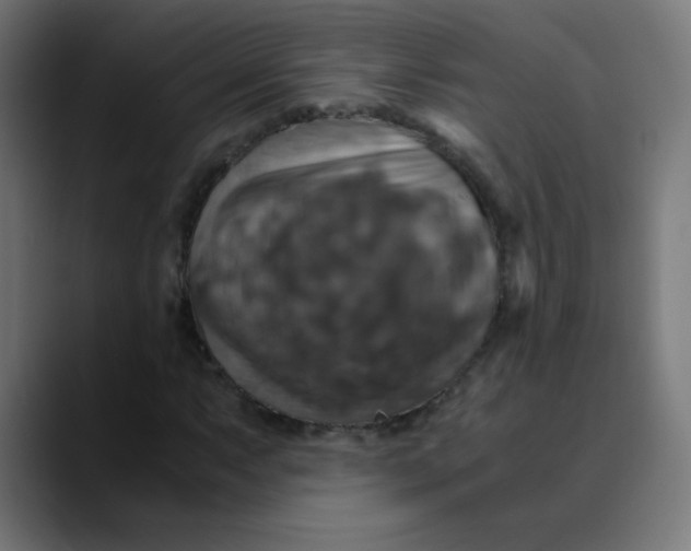 X0000089731063200707121445