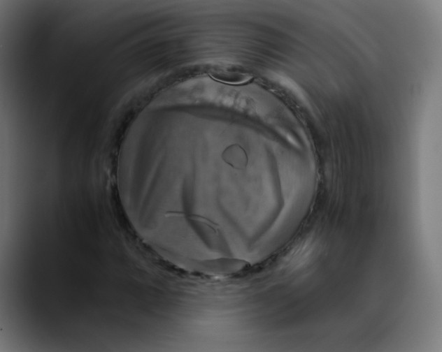 X0000089731064200707121445
