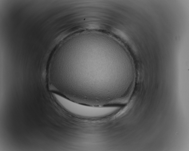 X0000089731065200707121445