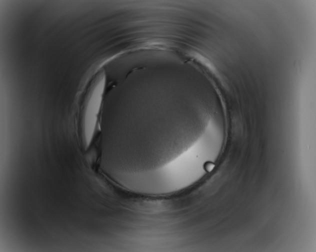 X0000089731066200707121445