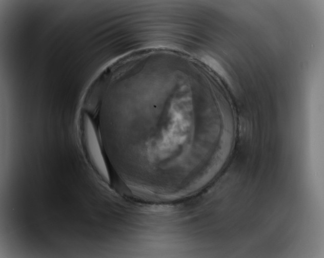 X0000089731068200707121445