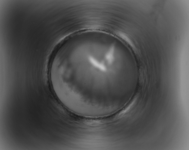 X0000089731071200707121445