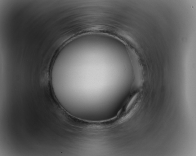 X0000089731073200707121445