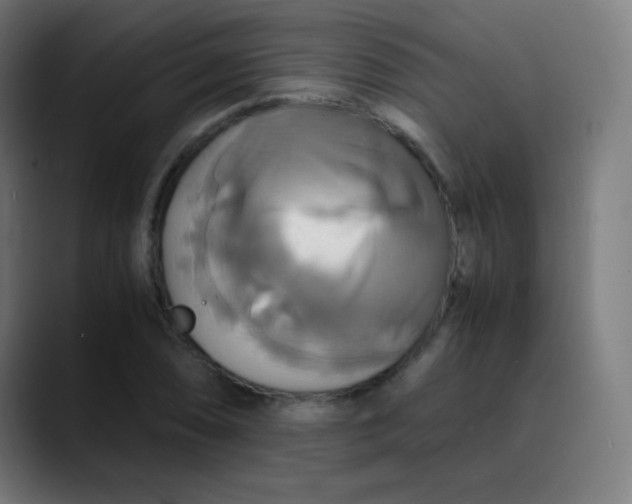 X0000089731074200707121445