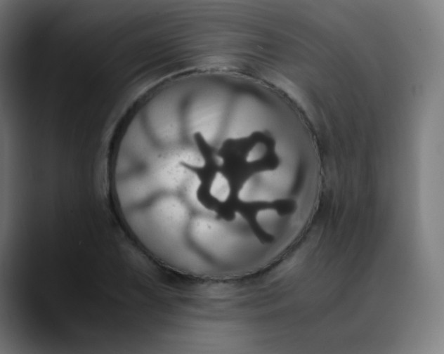 X0000089731075200707121445