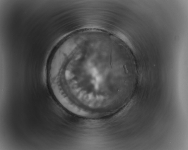 X0000089731076200707121445
