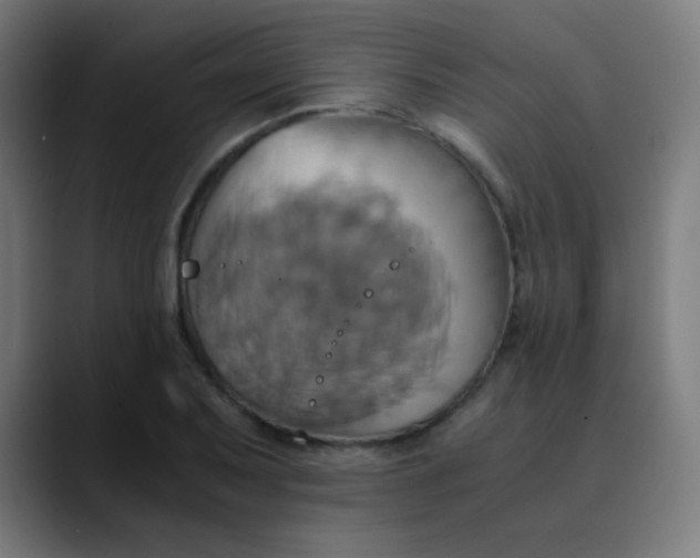 X0000089731079200707121445