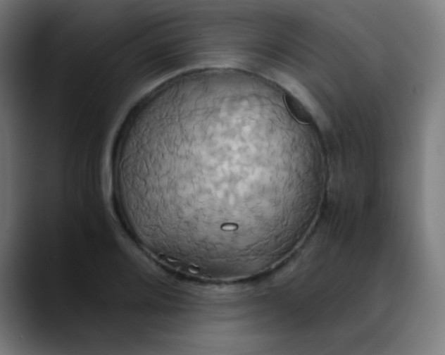 X0000089731080200707121445