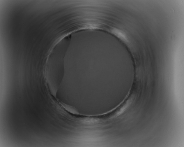 X0000089731081200707121445