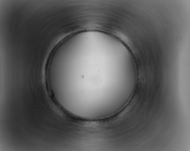 X0000089731082200707121445