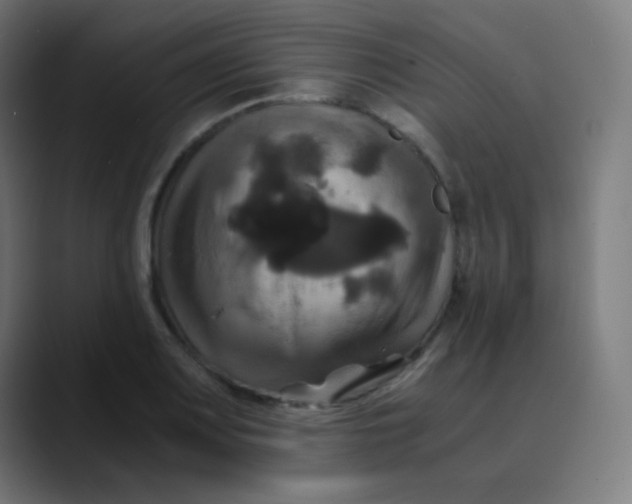 X0000089731083200707121445