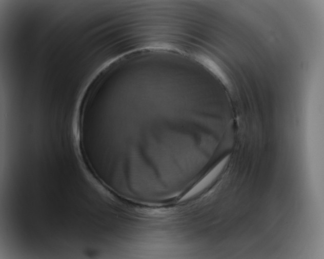 X0000089731084200707121445