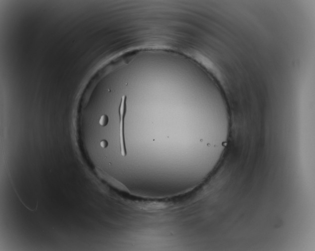 X0000089731085200707121445