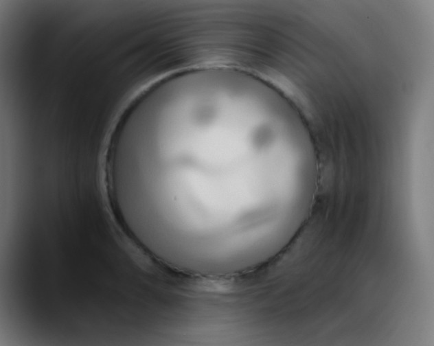 X0000089731086200707121445