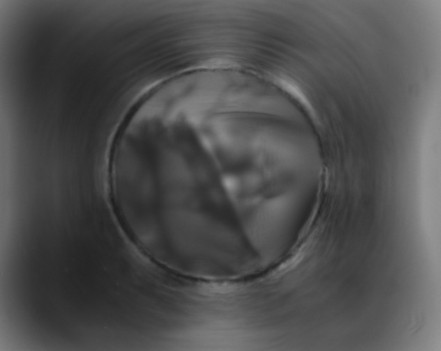 X0000089731087200707121445