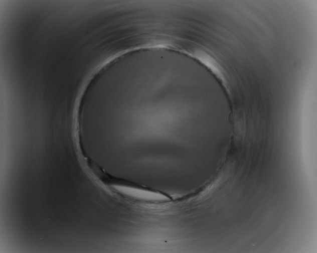 X0000089731088200707121445