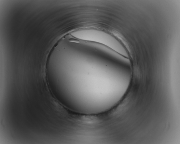 X0000089731089200707121445