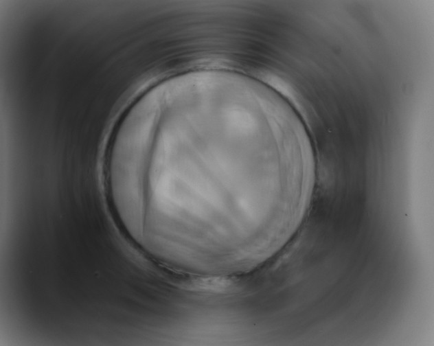 X0000089731090200707121445