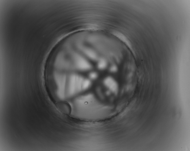 X0000089731091200707121445