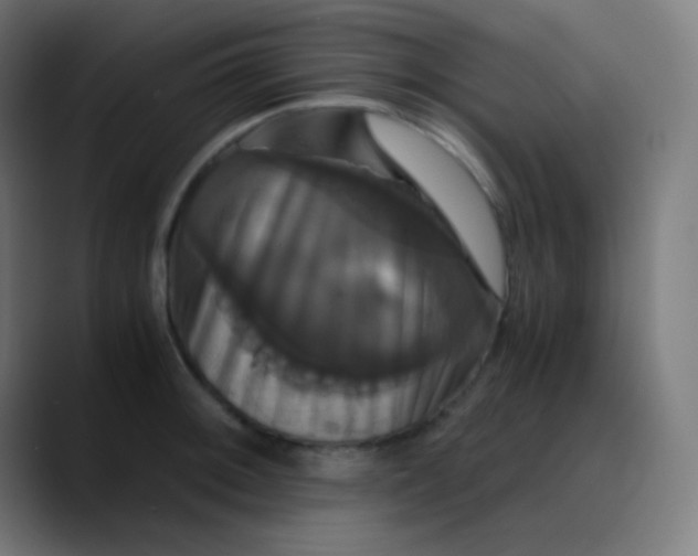 X0000089731092200707121445