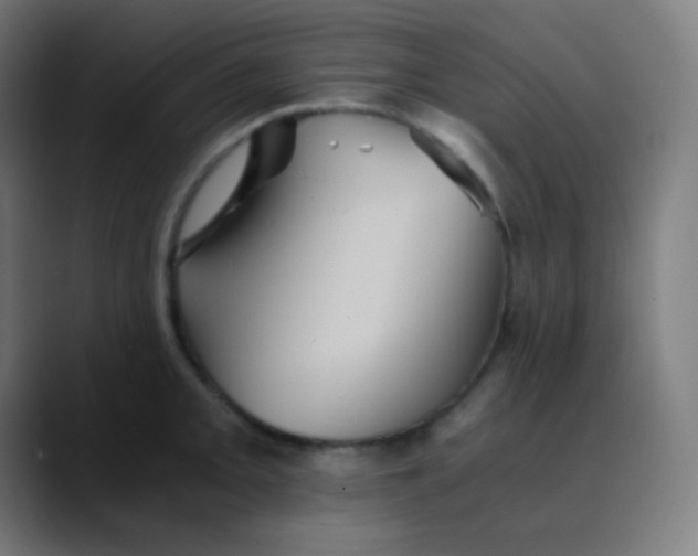 X0000089731093200707121445