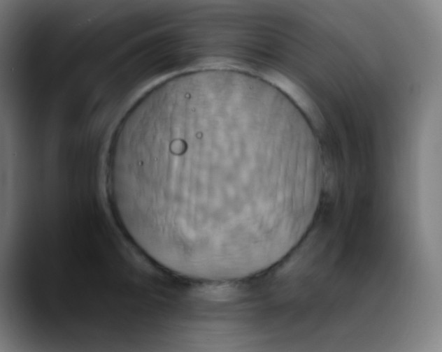 X0000089731094200707121445