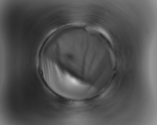 X0000089731095200707121445