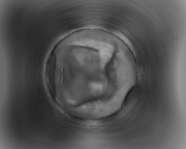 X0000089731096200707121445