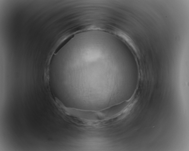 X0000089731097200707121444