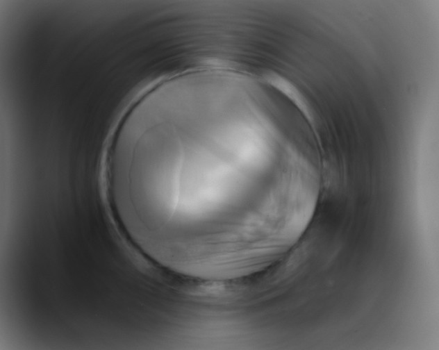 X0000089731098200707121444