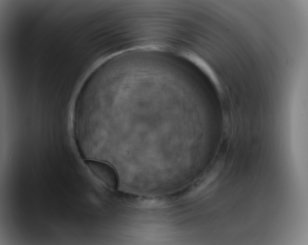 X0000089731099200707121444