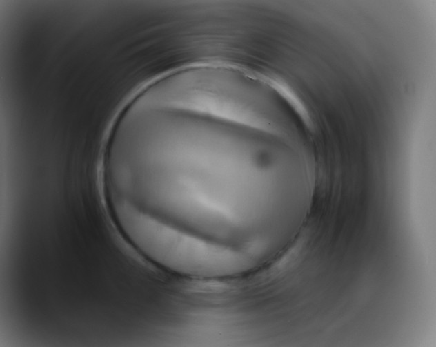 X0000089731100200707121444