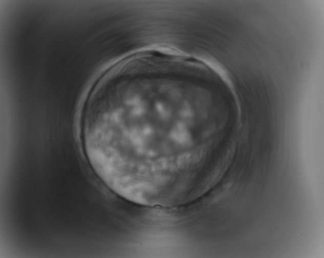 X0000089731104200707121444