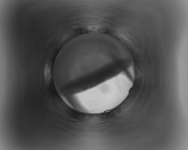 X0000089731106200707121444