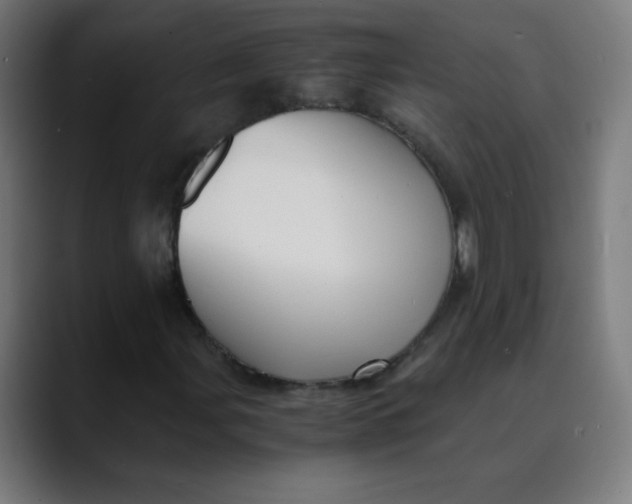 X0000089731107200707121444