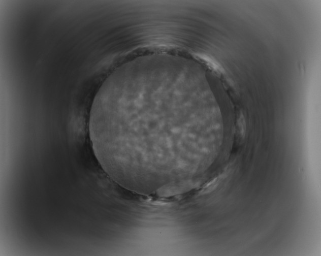 X0000089731110200707121444