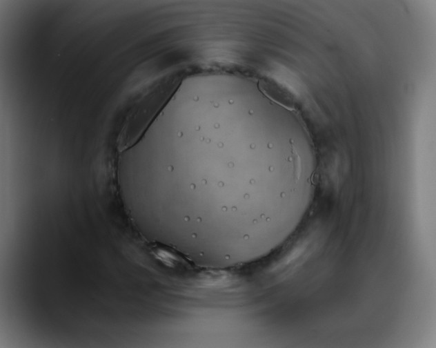 X0000089731112200707121444