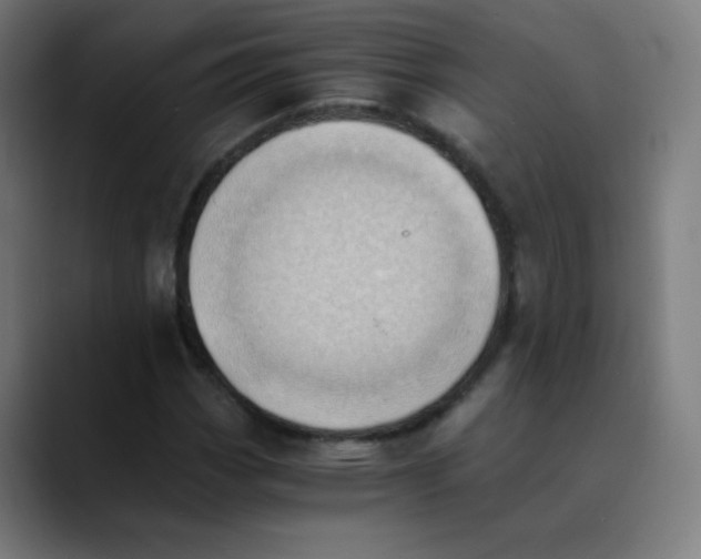 X0000089731113200707121444