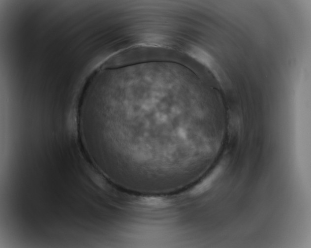X0000089731114200707121444