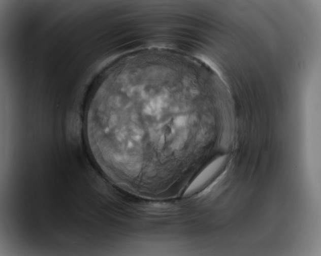X0000089731115200707121444
