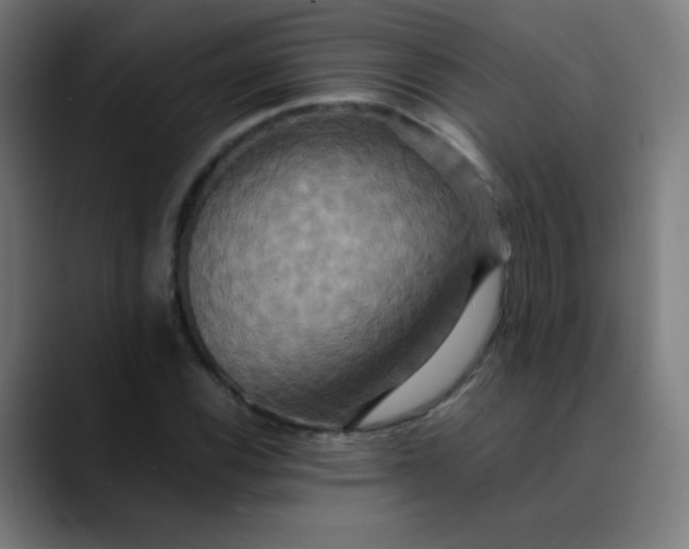 X0000089731116200707121444